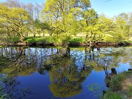 A lovely place to reflect :-)