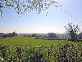Looking at the view from one of the grove pitches.