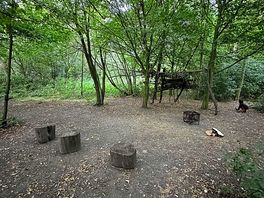 Woods