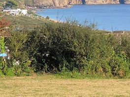 View from our pitch