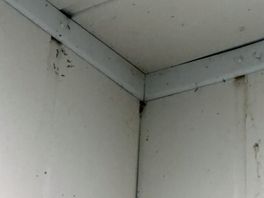 These were here for the three nights stayed