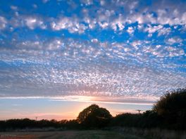 Great sunset