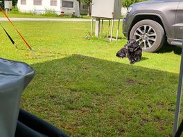 Viel platz auch für die lieben haustiere