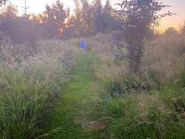 Exploring the site