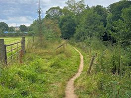 Footpath