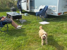 Spacious pitches and good location