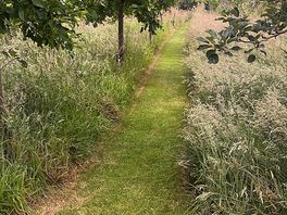 Lovely walks