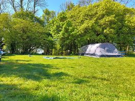 Good grass pitches next to the small Woodland play area.