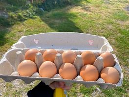 Eggs from the free range chickens roaming the farm.