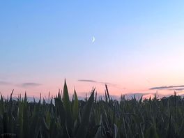 Sunset over the back of ghe site