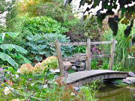 Garden with bridge over pond