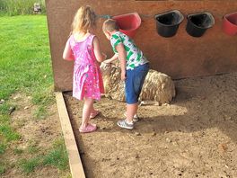Grandkids fussing over millie the sheep