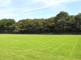Extra large electric touring pitch