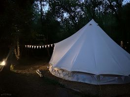 Magical evenings , cute fairy lights