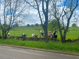 Beautiful countryside