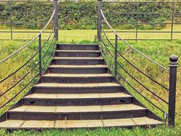 Nice decorative steps