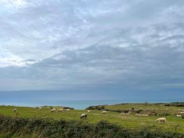 The view to the sea