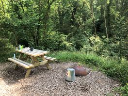 Picnic table and fire bowl provided