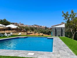 Beautiful pool area