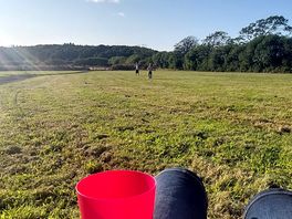 The new field, accessable from the main site by walking through the large gap in the hedge.