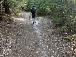 Walk