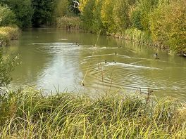Fishing lake