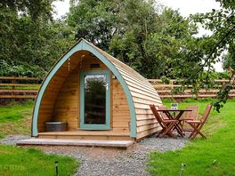 The Warren Pod