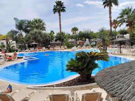 Pool at daytime