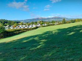 Campsite view