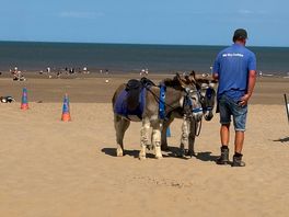 On the beach near by