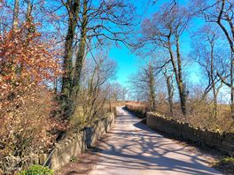 Quiet devon lanes near to site