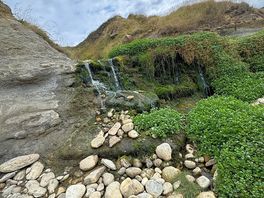 Osmington mills