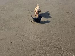 Steady 15 walk to the beach