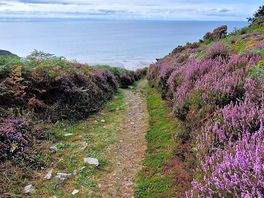 Coastal path walk