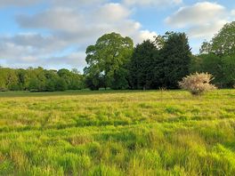 East Yorkshire countryside view