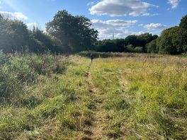 Lovely walk around the grounds