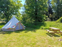 Red Kite pitch