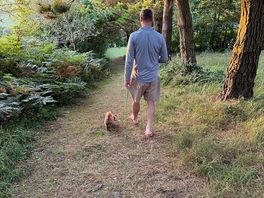 Dog walk area