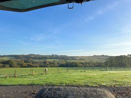 Definitely worse views to wake up to!