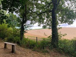 Stunning views from the woods