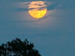 Blood moon