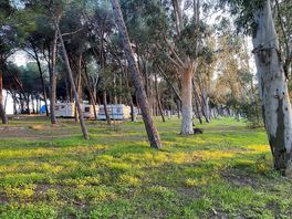 Shaded pitch