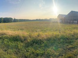 What a view from our tent