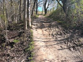 Woods near dodworth