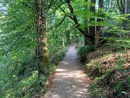 Lydford gorge.