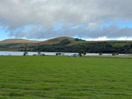View from the tent