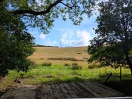 View from back of scout field.