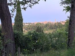 Lights coming on in volterra