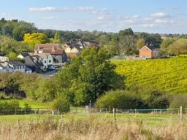 Local views