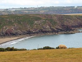 The view from the site